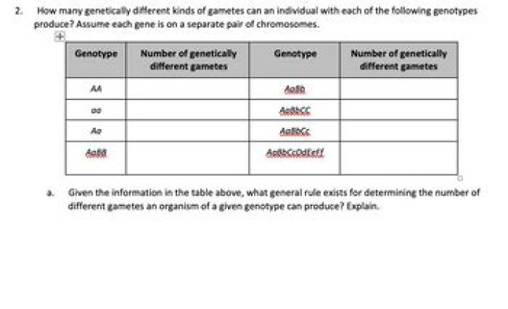 the number of possible genetically different gametes