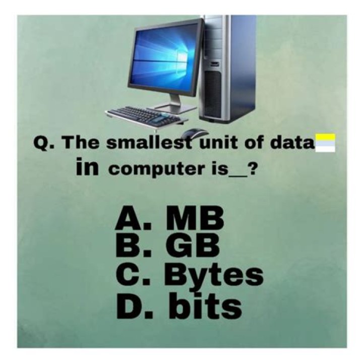 the smallest unit of data in computer is