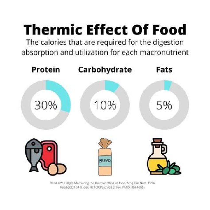 thermic effect of food