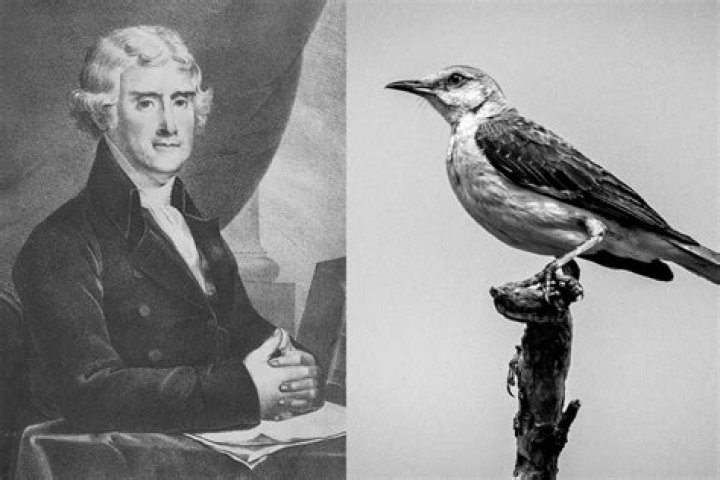 thomas jefferson pets