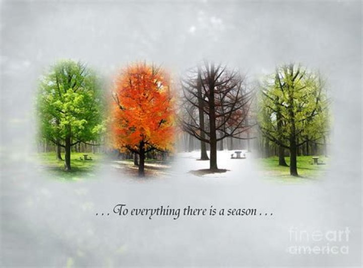 to everything there is a season