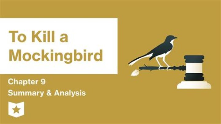 to kill a mockingbird chapter 9 summary