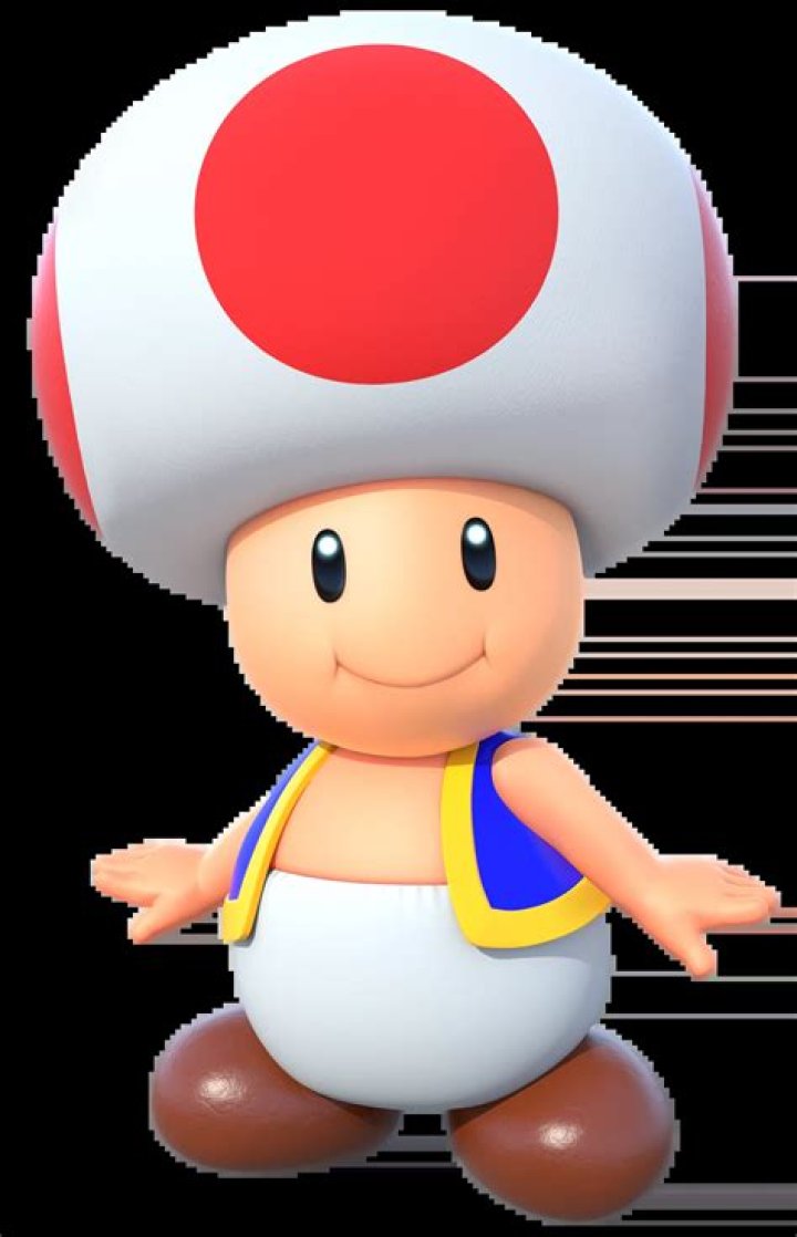 toad mario kart