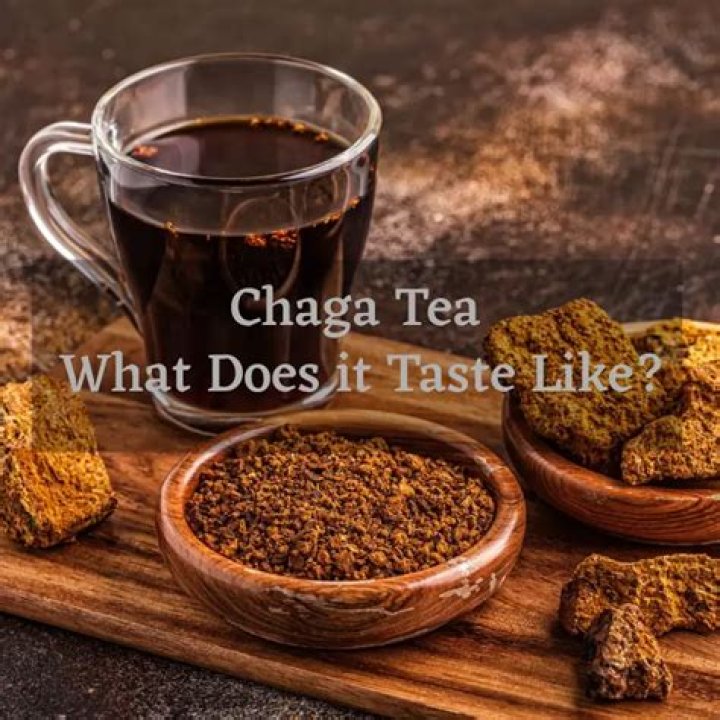 too much chaga tea
