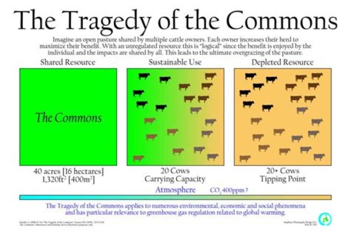 tragedy of the commons environmental science