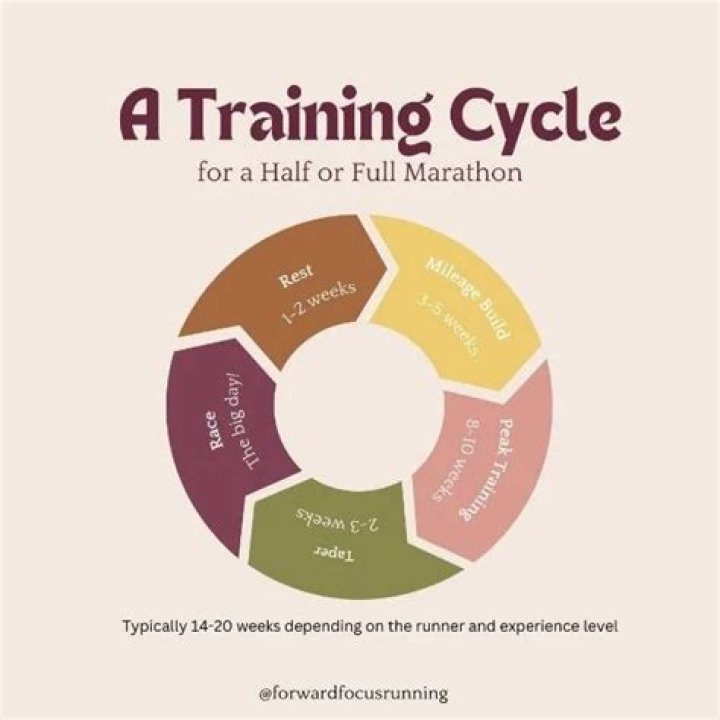training cycle