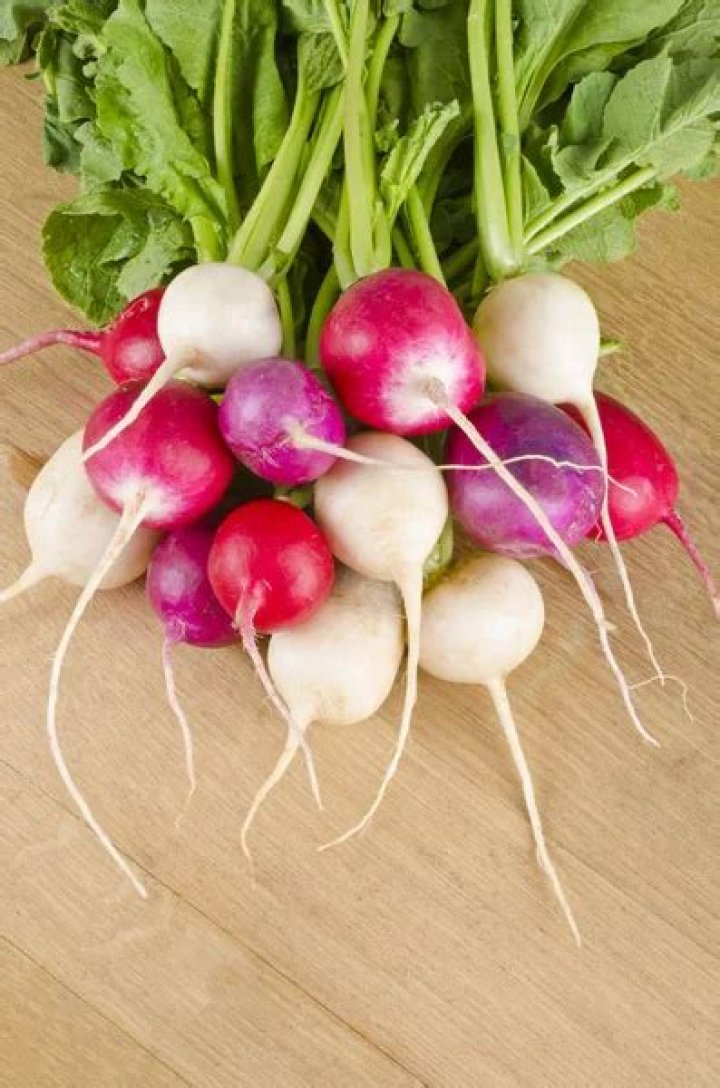 turnip family