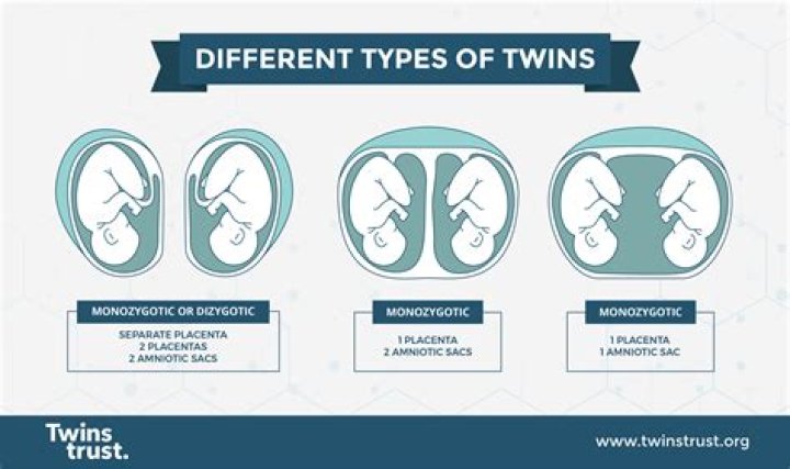 twins in the womb fighting