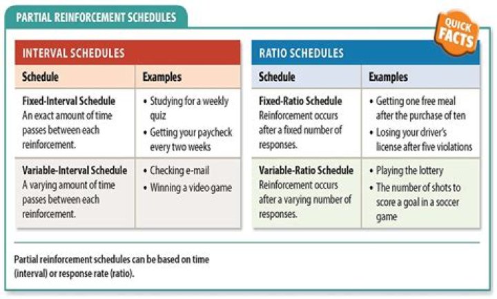 two schedules of reinforcement that produce the highest rates of response are