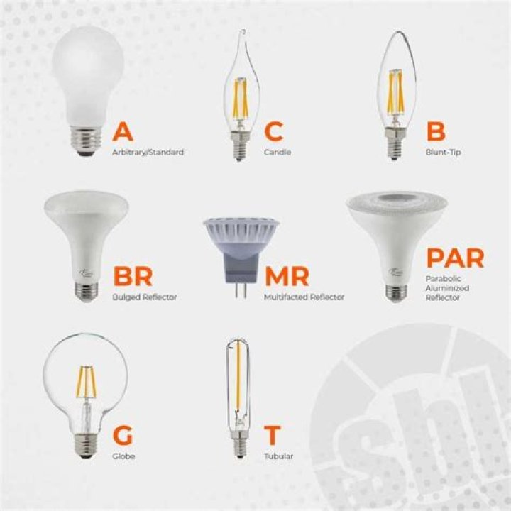 type b bulb
