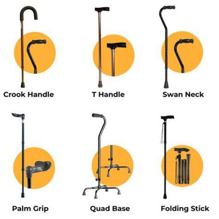 types of canes