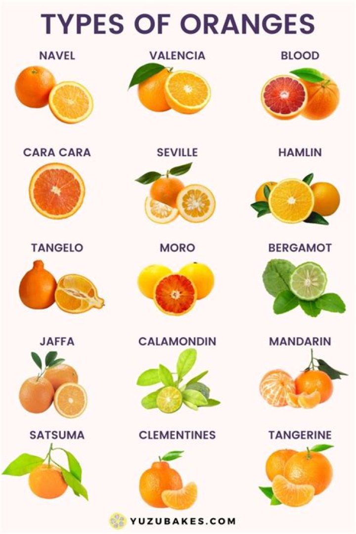 types of oranges