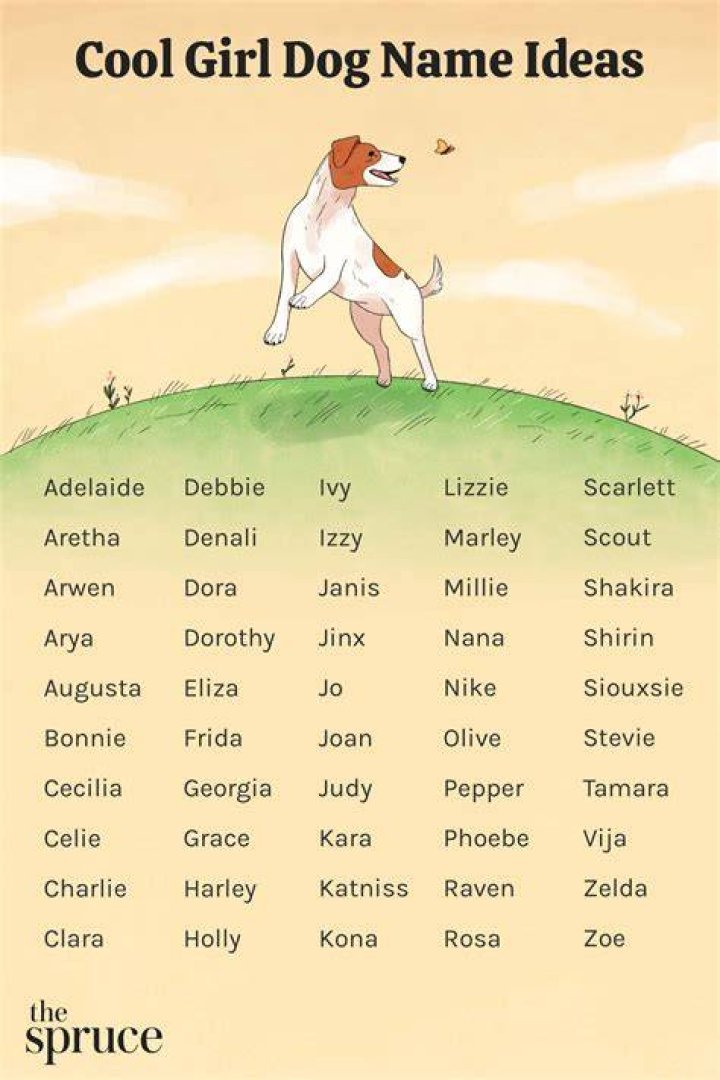 unique girl dog names 2016