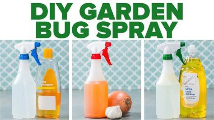 vinegar bug spray for plants