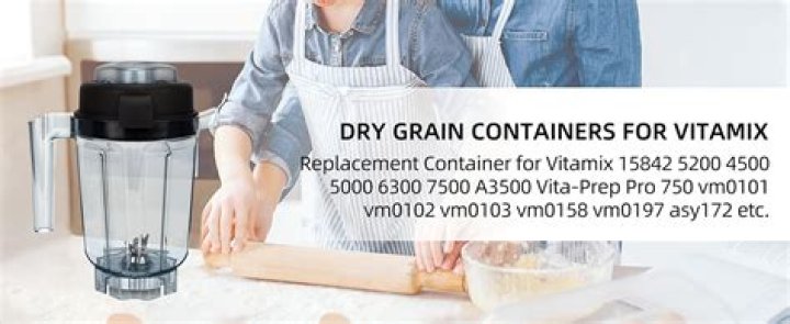 vitamix dry grains container costco