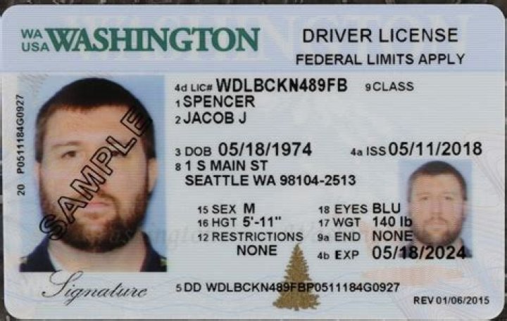 washington driver’s licenses