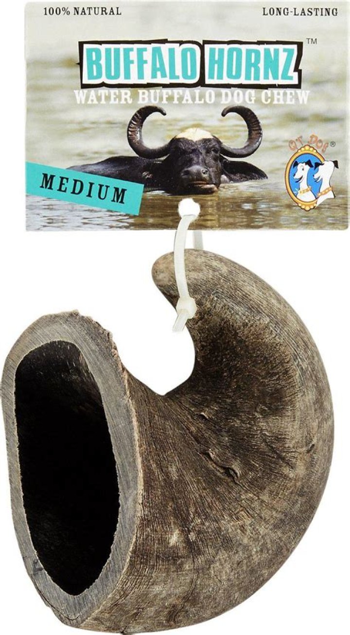 water buffalo horn for dogs safe