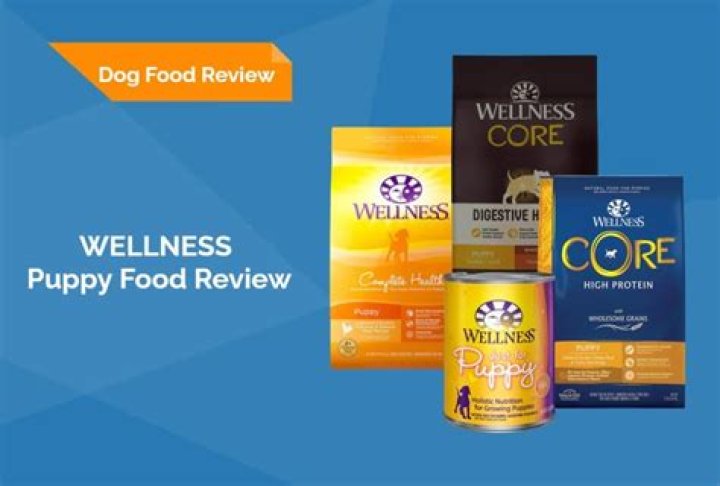 wellness puppy food