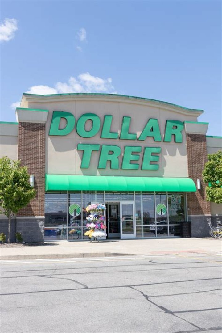 What age does Dollar Tree hire?