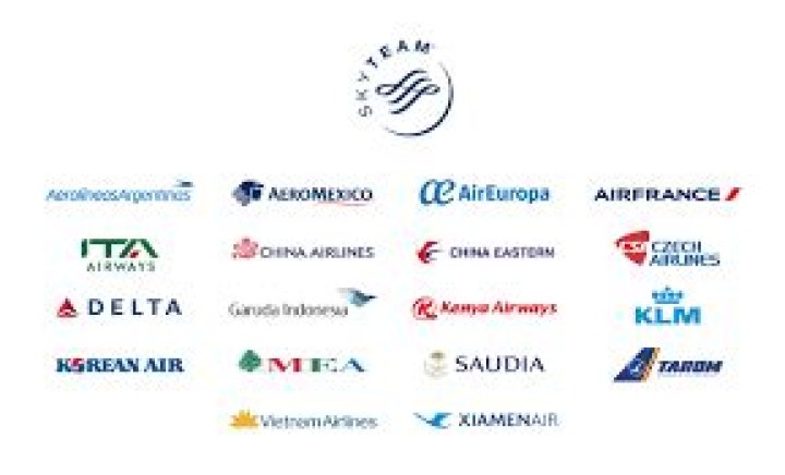 What airlines are in alliance with Emirates?