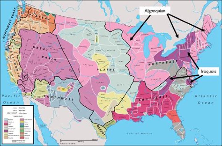 What animals were important to the Iroquois tribe