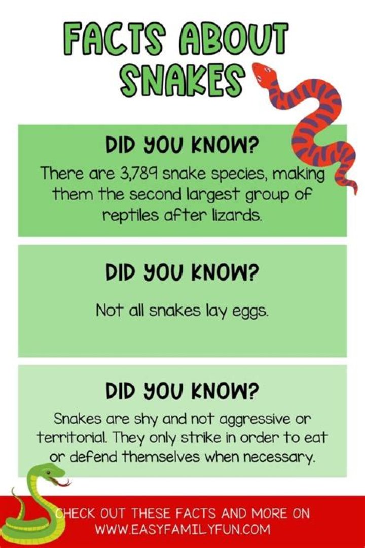 What are 3 interesting facts about snakes