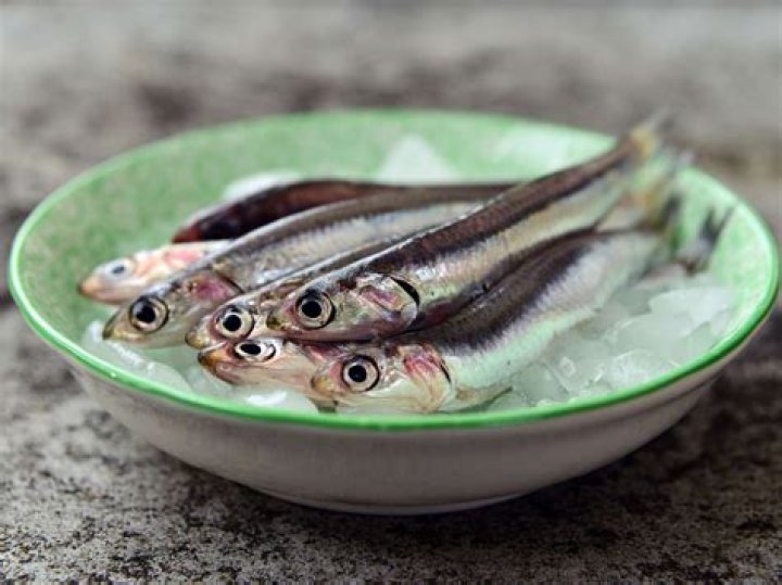 what are anchovies
