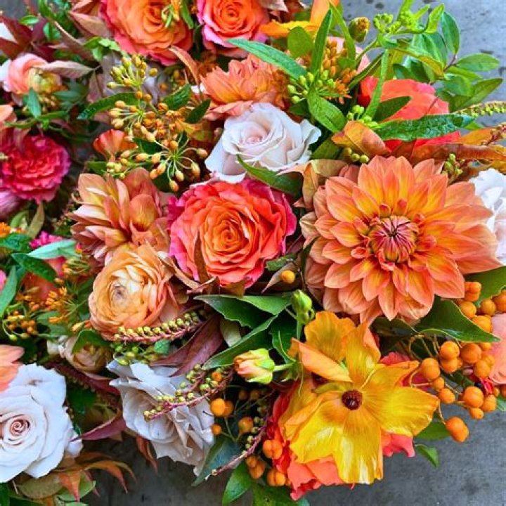 What are autumn flowers