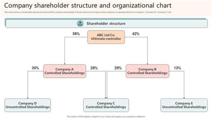 What are common shareholders