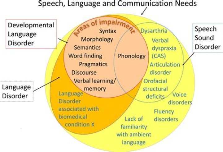 What are communication needs