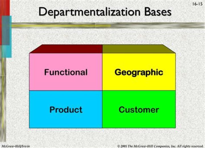 What are departmentalization bases
