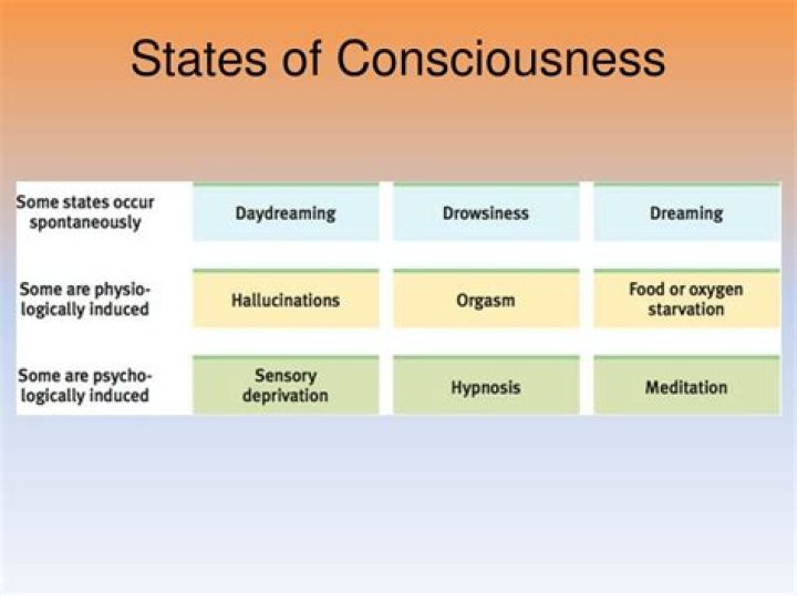 What are different states of consciousness?