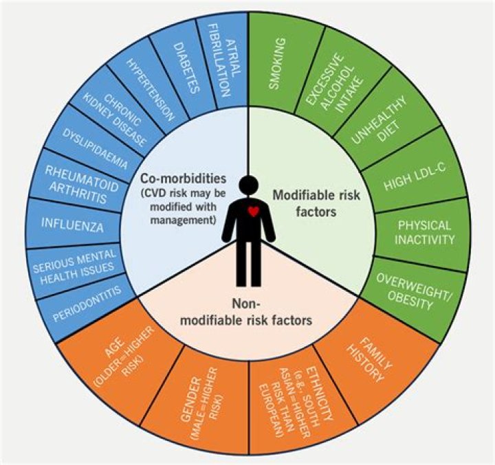 What are five risk factors for CVD that you can control