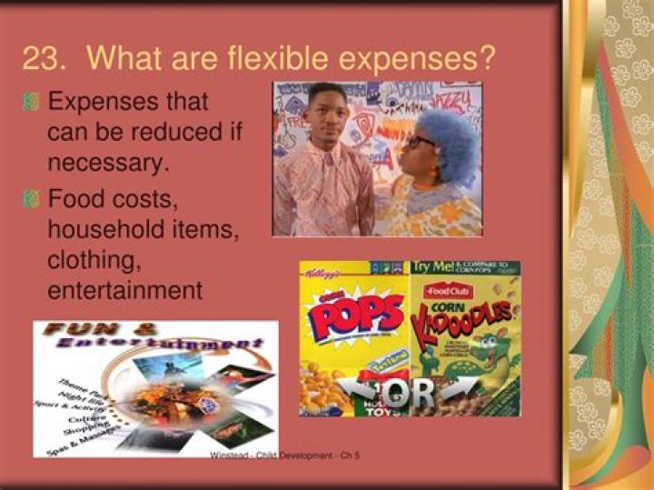What are flexible expenses?