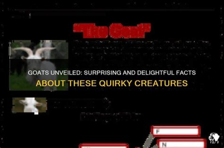 What are fun facts about goats