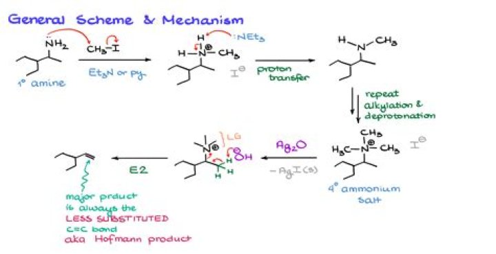 What are Hofmann Coneys made of