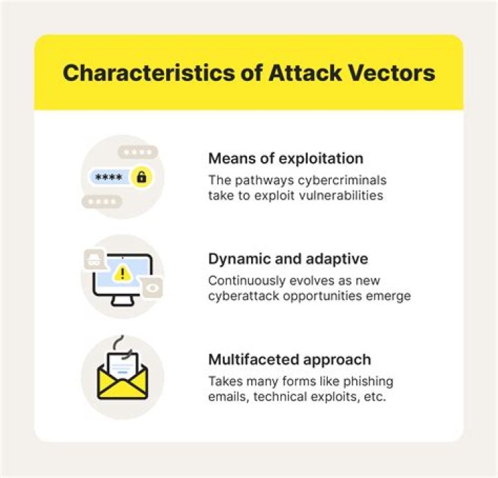 What are some attack vectors in cyber security