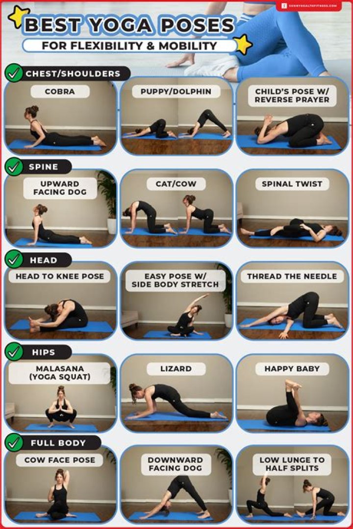 What are some good basic flexibility exercises