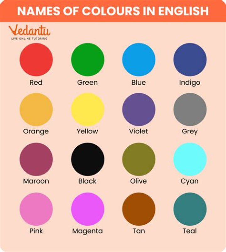 What are the 20 Colours?