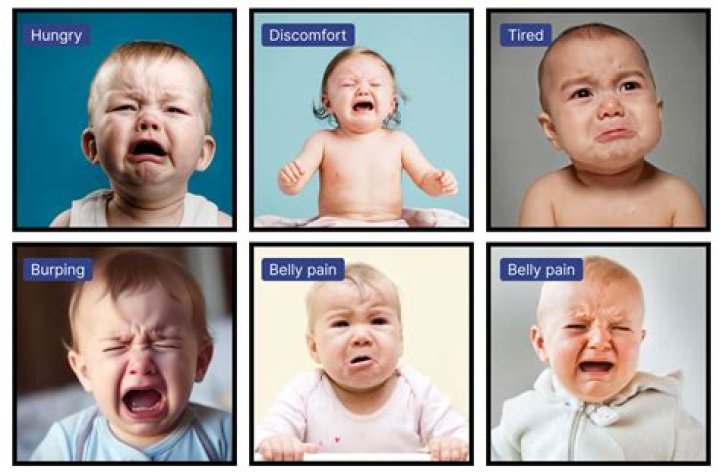 What are the 4 types of cries an infant has?