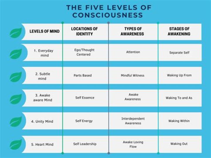 What are the 5 states of consciousness?