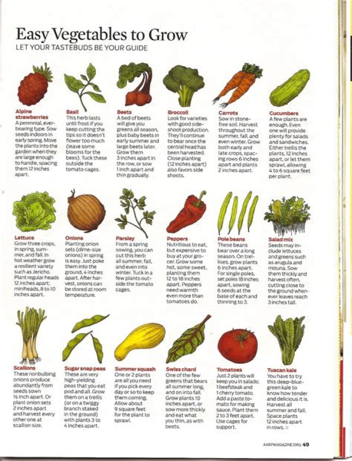 What are the best vegetables to grow in a garden?