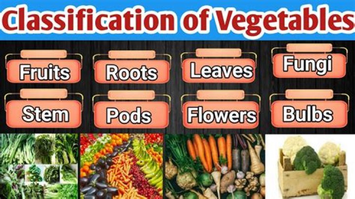 What are the classifications of vegetables