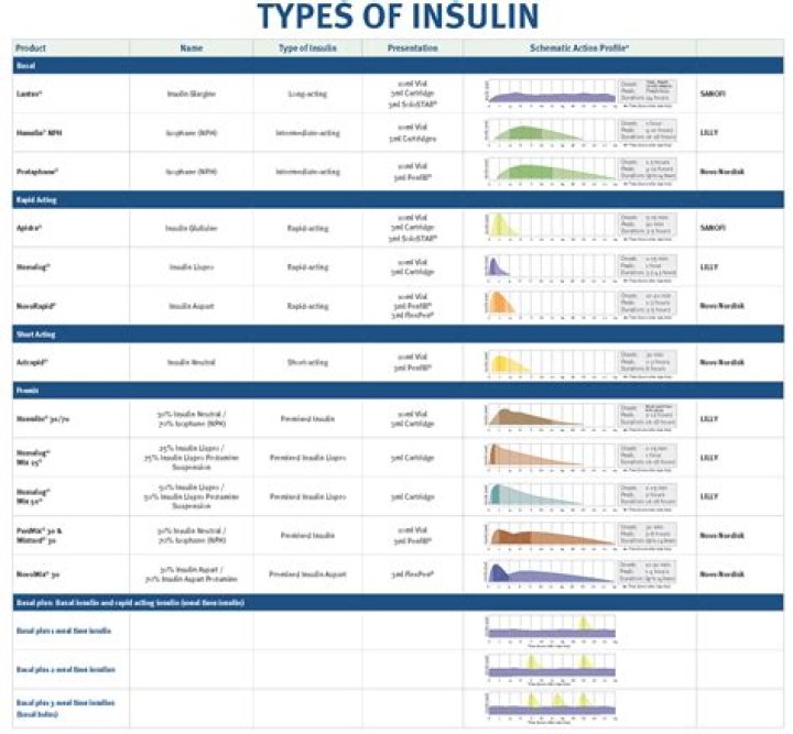 What are the different types of insulin