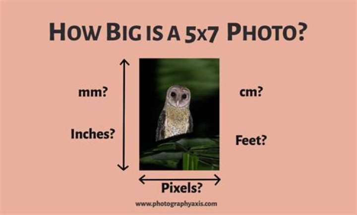 What are the dimensions of a 5x7 photo?