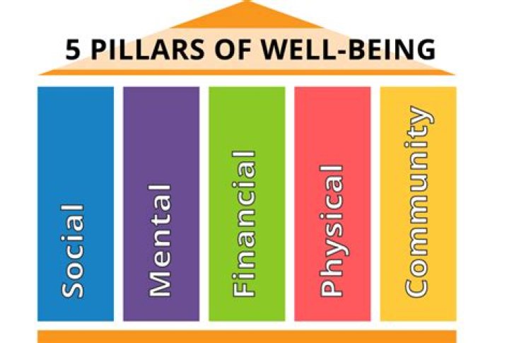 What are the five pillars of well being theory