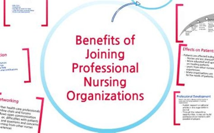 What are the major scholarly organizations for nursing