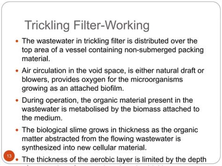 What are the operational problems of trickling filter?