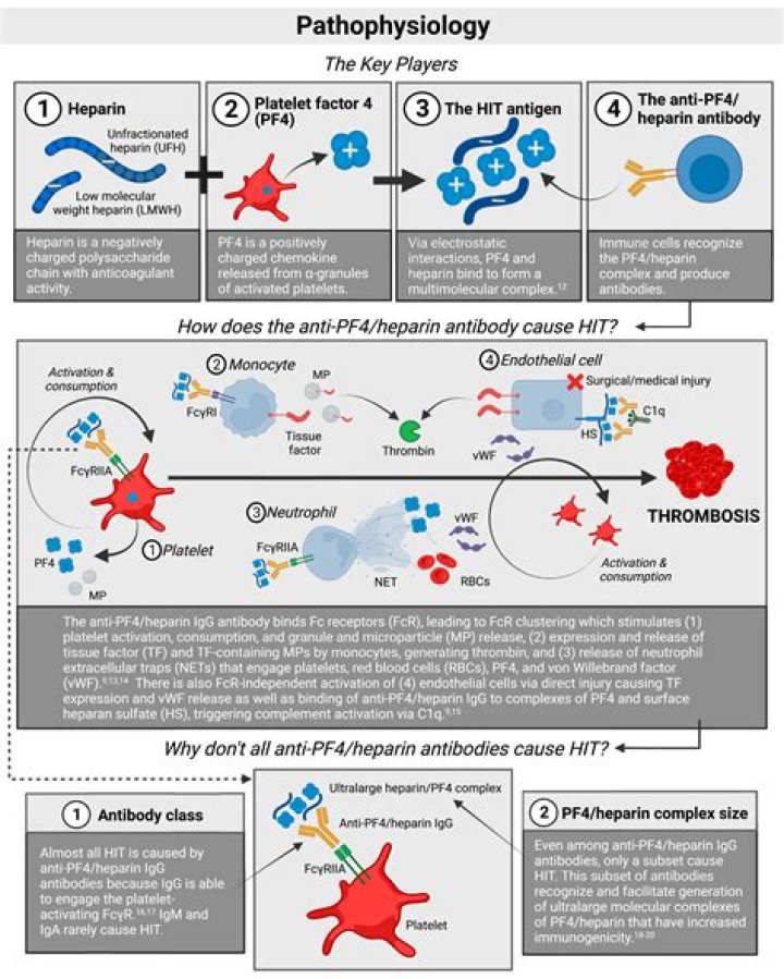 What are the symptoms of heparin induced thrombocytopenia