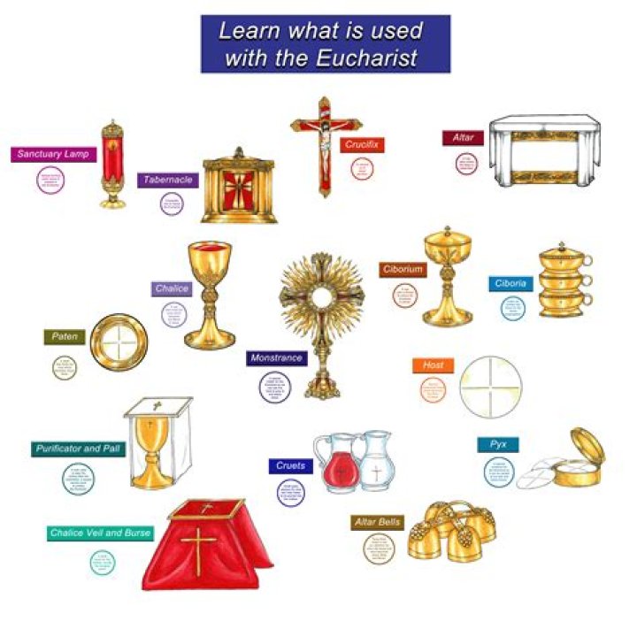 What are the things used in the Holy Eucharist